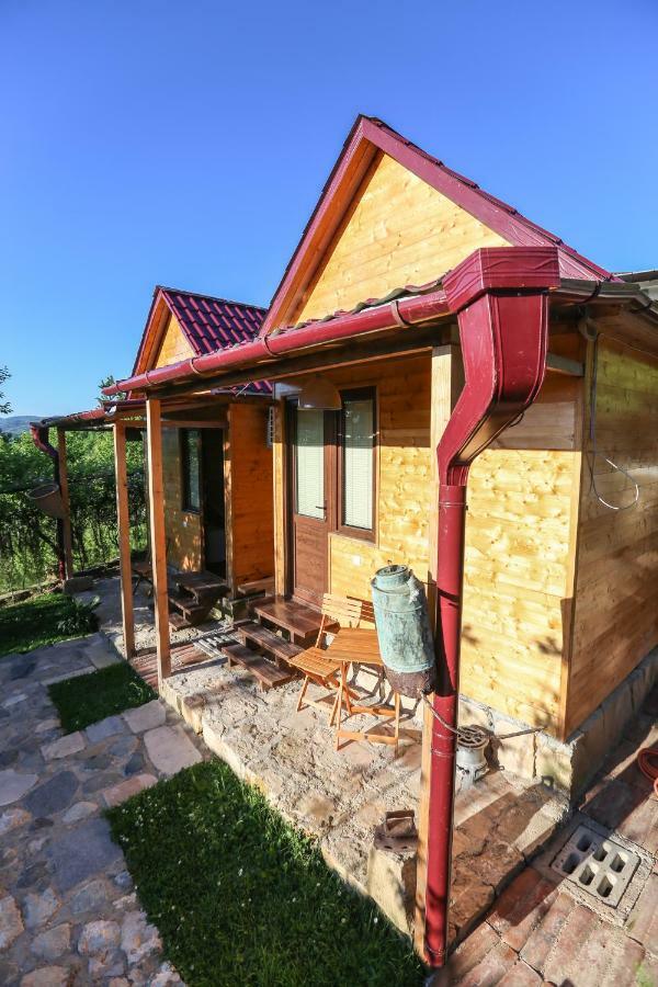 Bukhriani Villa Kutaisi Dış mekan fotoğraf