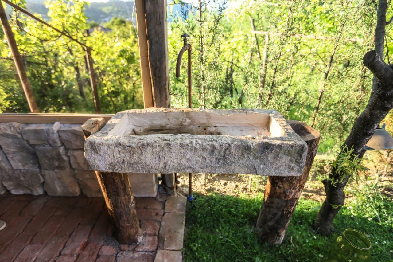 Bukhriani Villa Kutaisi Dış mekan fotoğraf