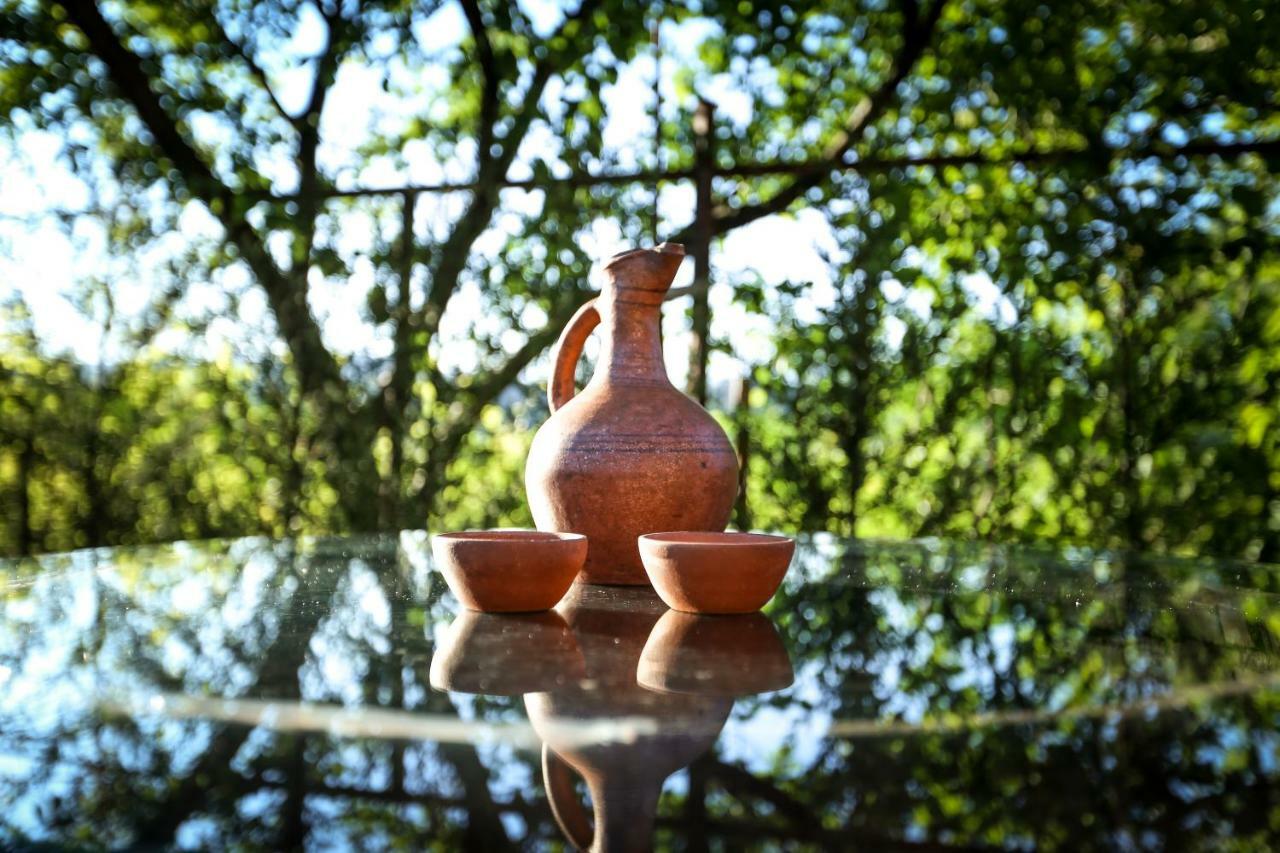 Bukhriani Villa Kutaisi Dış mekan fotoğraf