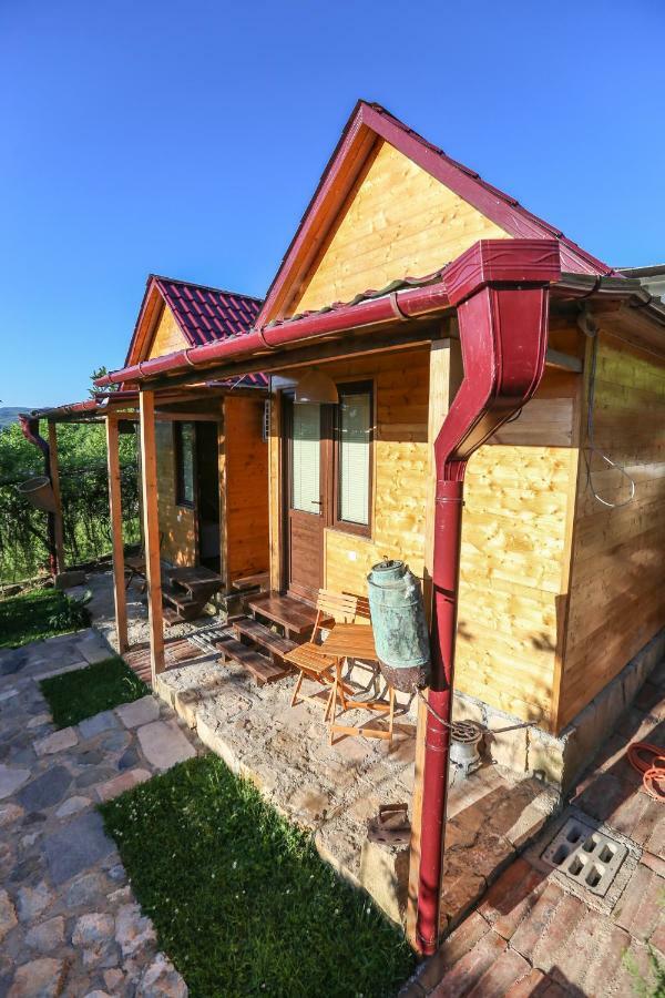 Bukhriani Villa Kutaisi Dış mekan fotoğraf